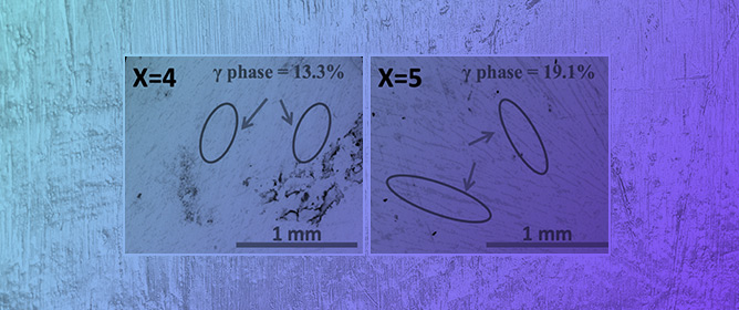 Magnetic Field Suppression of the Martensitic Transformation in Mn-Based MnNi(Fe)Sn Metamagnetic Shape Memory Heusler Alloys