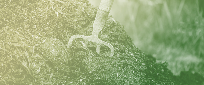 Manure Production Projections for Latvia: Challenges and Potential for Reducing Greenhouse Gas Emissions