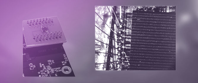 A Broad Photon Energy Range Multi-Strip Imaging Array Based upon Single Crystal Diamond Schottky Photodiode