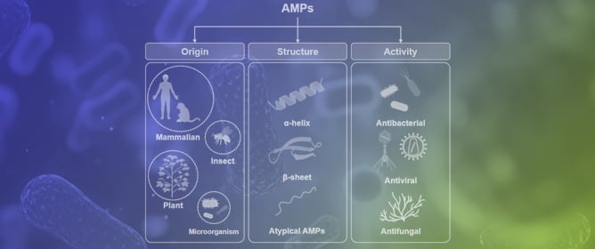 Antimicrobial Peptides: Current Status, Mechanisms of Action, and Strategies to Overcome Therapeutic Limitations