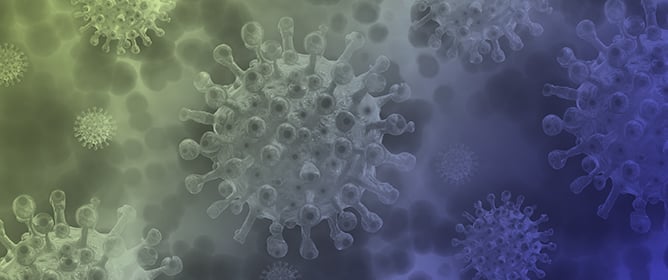 Virome and Microbiome of Florida Bats Illuminate Viral Co-Infections, Dietary Viral Signals, and Gut Microbiome Shifts