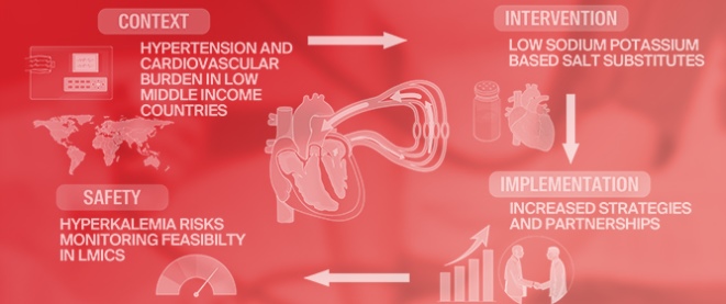 Salt Substitutes in Low-Income Settings: BP, Cardiovascular Effects &amp; Safety Review