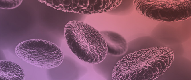 The Changing Landscape of Opportunity for Cure of Severe Hemoglobinopathies in Middle-Income Regions