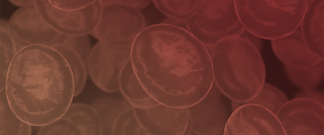 The Distribution of HLA Alleles in Patients with Beta Thalassemia