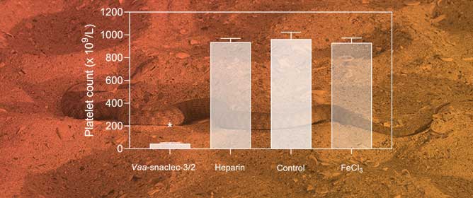 Snake Venom C-Type Lectin-like Protein Vaa-Snaclec-3/2 Efficiently Prevents Carotid Artery Thrombosis in a Mouse Model Without Compromising Blood Coagulation