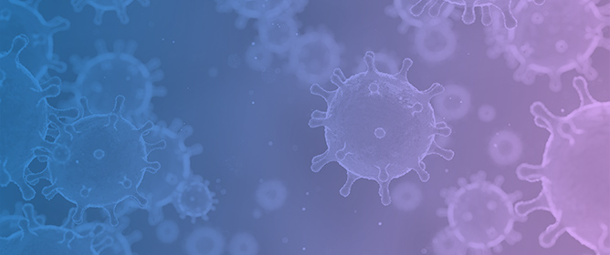 Antiviral Activity of <em>Origanum vulgare</em> ssp. <em>hirtum</em> Essential Oil-Loaded Polymeric Micelles