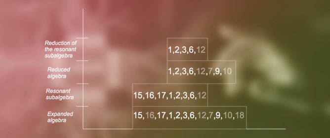 A Java Library to Perform <em>S</em>-Expansions of Lie Algebras