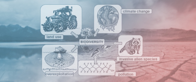 How Will Environmental Conditions Affect Species Distribution and Survival in the Coming Decades&mdash;A Review