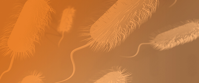 The Growing Antibiotic Resistance of <em>Campylobacter</em> Species: Is There Any Link with Climate Change?