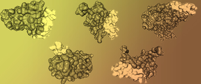 An Insight into Strain-Specificity of <em>Streptomyces chrestomyceticus</em> ADP4 and Identification of a Novel Peptide with Potential Antiviral Activities Against Significant Human Viruses, Including SARS-CoV2, HCV, and HIV