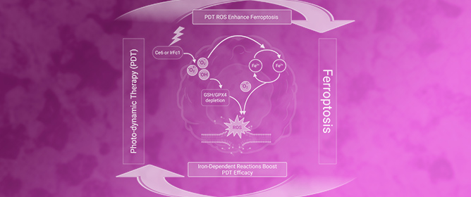 Metabolic Regulation of Ferroptosis in Breast Cancer