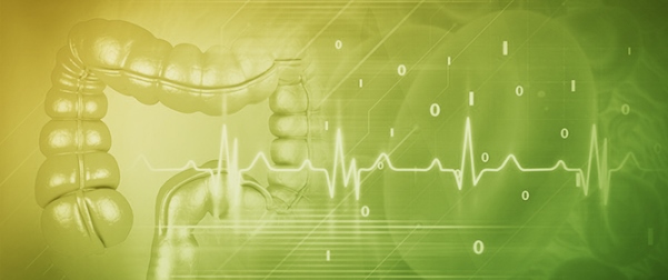 Embryonic Signaling Pathways Shape Colorectal Cancer Subtypes: Linking Gut Development to Tumor Biology