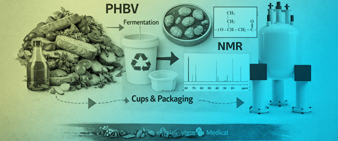 Poly(3-Hydroxybutyrate-Co-3-Hydroxyvalerate) Produced from Food-Related Wastes: Solid-State NMR Analysis