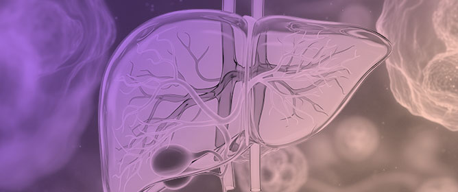 Next-Generation Hydrogels for Biliary Organoid Engineering