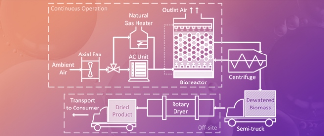 Treating Low-Concentration Methane Emissions via a Methanotroph-Based Biotrickling Filter: Techno-Economic and Life Cycle Assessment