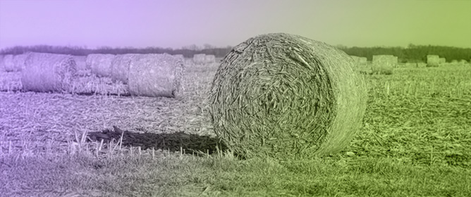 The Effect of Acid Catalysis on Hydroxycinnamate Recovery from Corn Stover Using Hydrothermal and Organosolv Treatments