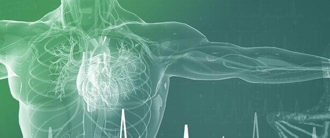 GLP-1 Agonists in Cardiovascular Diseases: Mechanisms, Clinical Evidence, and Emerging Therapies