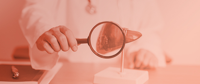 Comparison of Liver Venous Deprivation Versus Portal Vein Embolization in Patients with Liver Malignancies: A Systematic Review