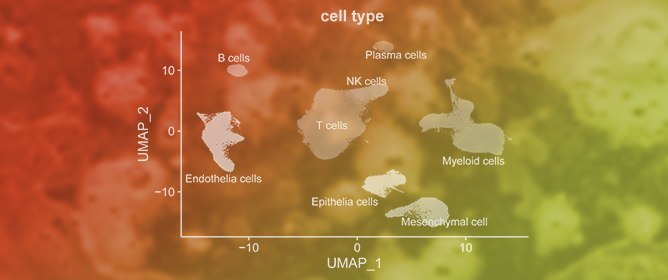 Integrative Analysis of Single-Cell and Spatial Transcriptomics Reveals Intratumor Heterogeneity Shaping the Tumor Microenvironment in Hepatocellular Carcinoma