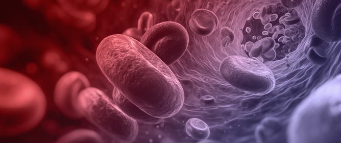 Haemoglobinopathies: Integrated Biochemical and Molecular Diagnosis in 5243 Patients