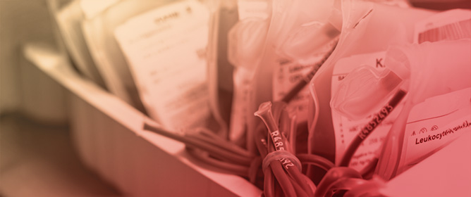 Rare Blood Group Bank in Transfusion Therapy of Patients with Complex Allo-Immunizations: A Single Veneto Center Experience