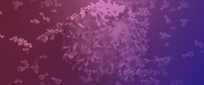 Thermal Inactivation of Multiple Veterinary-Relevant Viruses: Effects of Environmental Conditions, Surface Type, and Organic Matrix