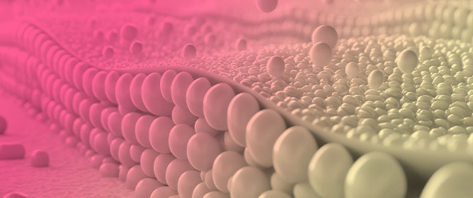 Orthorhombically Packed Cosmetic Oils or Formulations Could Ensure Skin Lipid Barrier Stability&mdash;An Ex Vivo Porcine Skin Study