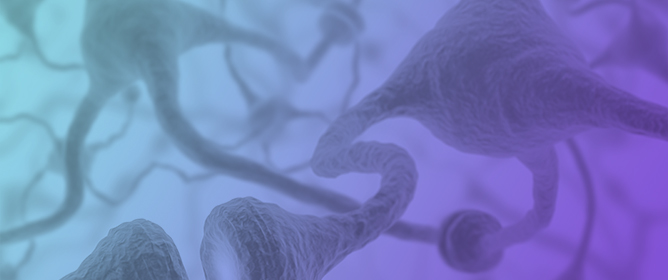 Epigenetic Modulation and Neuroprotective Effects of Neurofabine-C in a Transgenic Model of Alzheimer&rsquo;s Disease