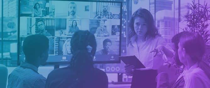 E-Leadership Competencies and Organizational Preference for Telework: Evidence from the Portuguese Context