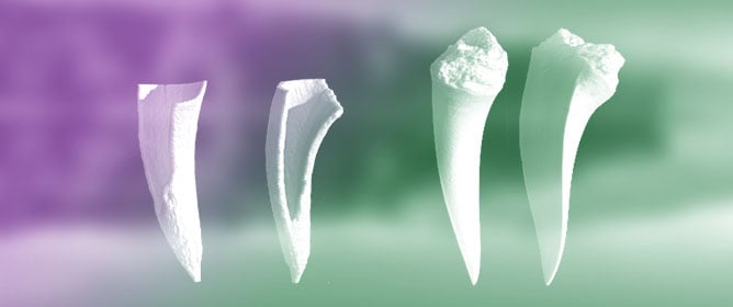 Micro-Tomographic Investigation of a North-Western Pacific Polymetallic Nodule
