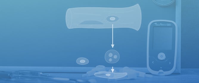 Muscle&ndash;Bone Crosstalk and Metabolic Dysregulation in Youth with Type 1 Diabetes