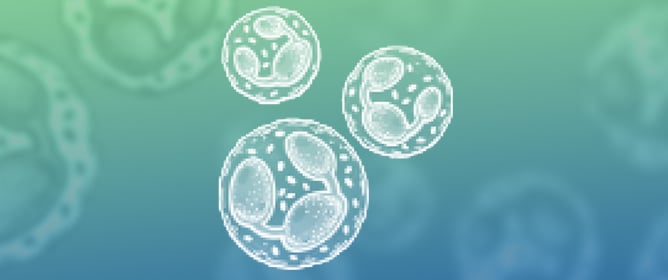 NETs and Cardiovascular Diseases