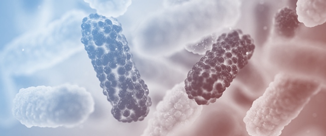 Community Antibiotic Use in Spain: A National Surveillance System under Antimicrobial Resistance Action Plan