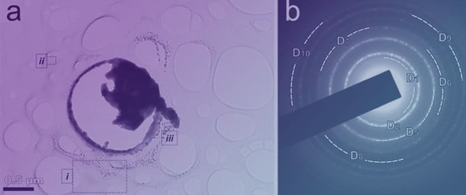 Multi-Scale PbSe Transformation via Biphasic Precursors