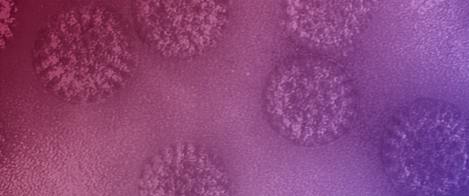 Interspecies Transmission of Animal Rotaviruses to Humans: Reassortment-Driven Adaptation