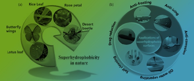 Recent Advances in Bio-Inspired Superhydrophobic Coatings Utilizing Hierarchical Nanostructures for Self-Cleaning and Anti-Icing Surfaces