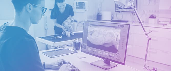 ChatGPT as a Virtual Peer: Enhancing Critical Thinking in Flipped Veterinary Anatomy Education