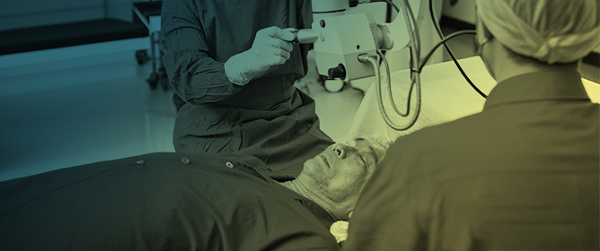 Exploring Structural and Vascular Changes of the Optic Nerve Head After Trabeculectomy in Primary Open-Angle Glaucoma