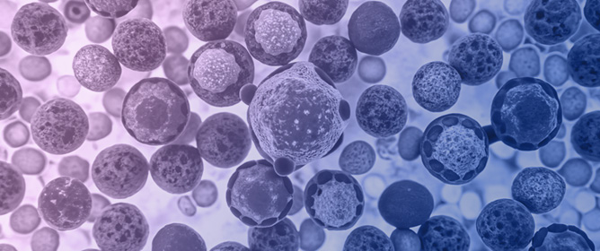 Secondary Genetic Events and Their Relationship to TP53 Mutation in Mantle Cell Lymphoma: A Sub-Study from the FIL_MANTLE-FIRST BIO on Behalf of Fondazione Italiana Linfomi (FIL)