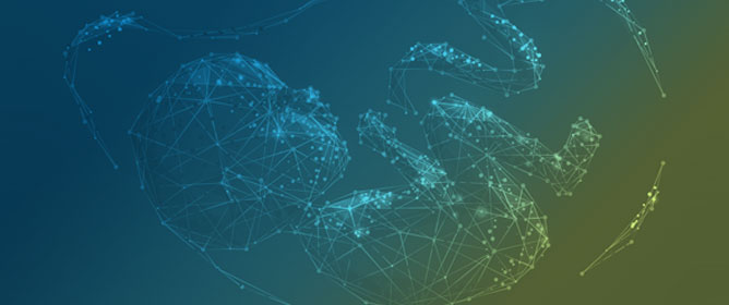 Fetal Cerebral Blood Flow (Dys)autoregulation