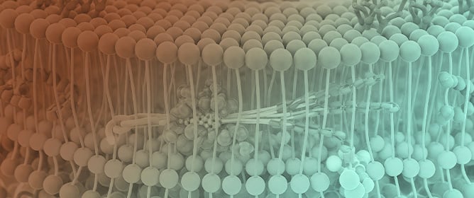 Single-Molecule Imaging and Super-Resolution Microscopy of Lipid Domains in Cell Membranes Using Lipid-Binding Proteins and Fluorophore-Conjugated Lipid Analogs