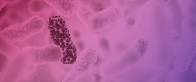 Challenges and Opportunities of Bacterial Vaccines as Alternatives to Antimicrobials in Swine Health Management: Insights from U.S. Veterinarians