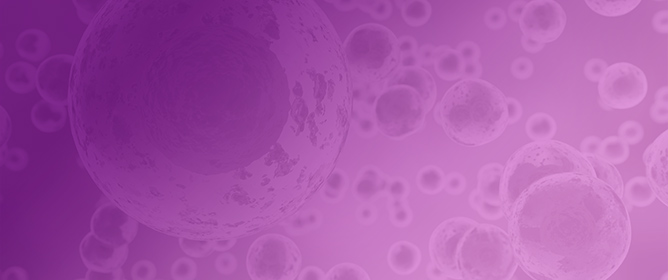 A Novel FLI1 Monoclonal Antibody Which Recognizes EWS::FLI1 with High Affinity Is Useful for Detecting Ewing Sarcoma