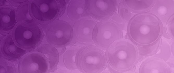 Species-Dependent Structural Variations in Single-Domain Antibodies