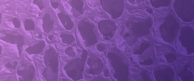 Engineering Porous Biochar for Electrochemical Energy Storage