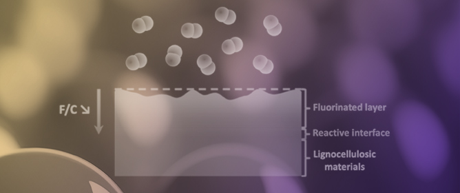 <strong></strong>Fluorination to Convert the Surface of Lignocellulosic Materials from Hydrophilic to Hydrophobic