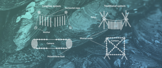 Impact of Global Warming on the Management of Mussel Fouling: Can the Use of Different Air Exposure Facilities Mitigate the Effects of Temperature? A Preliminary Experimental Trial in the Mar Piccolo of Taranto (Mediterranean, Ionian Sea)
