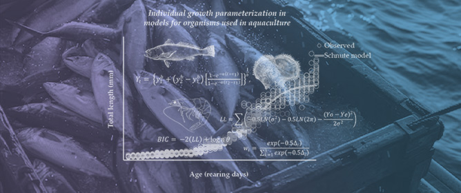 Individual Growth Parameterization Models Using the Observed Variance in Organisms Subject to Aquaculture
