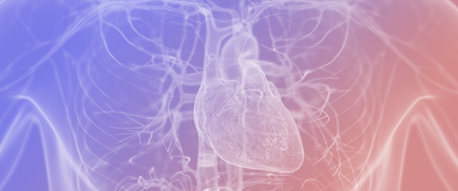 Integrating Genetic, Clinical, and Histopathological Data for Definitive Diagnosis of PRKAG2-Related Disease