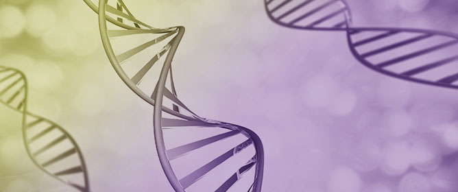 Beyond Genes: Non-Canonical Mechanisms Driving Antimicrobial Resistance in Bacteria